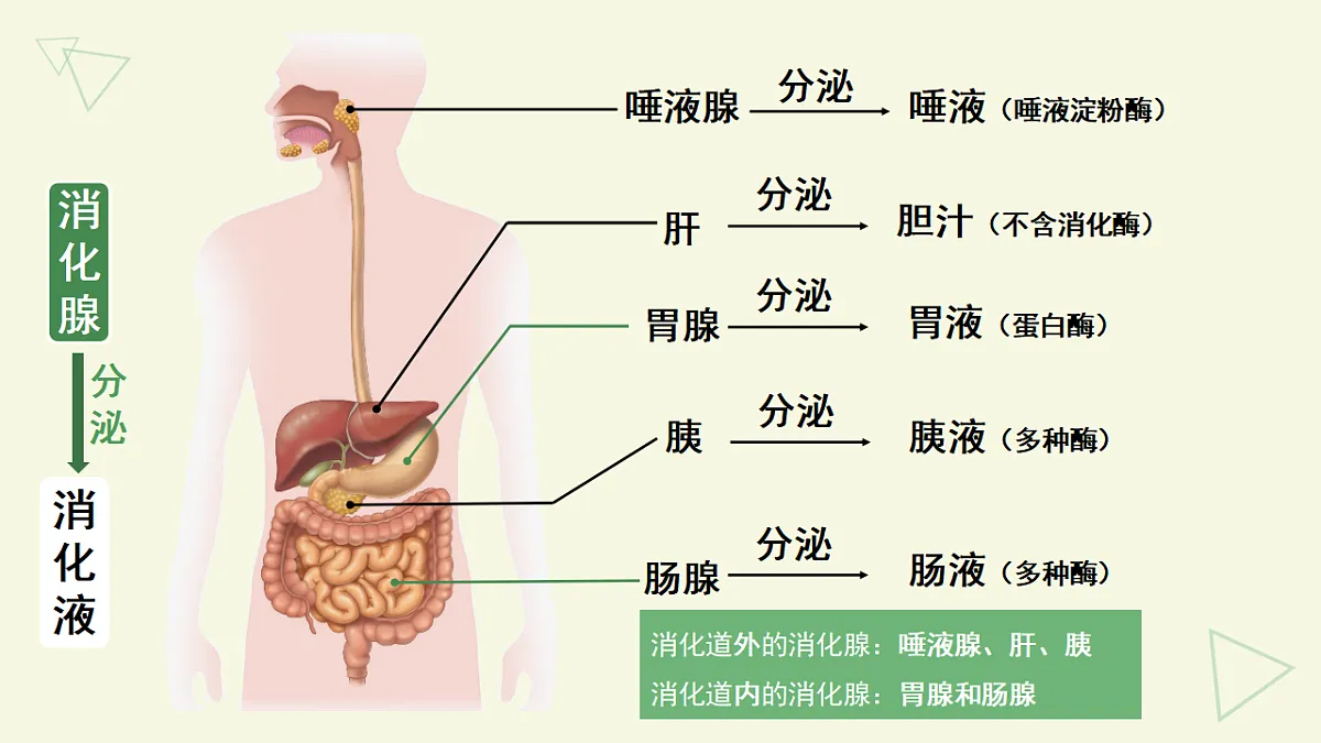 17877092第7页