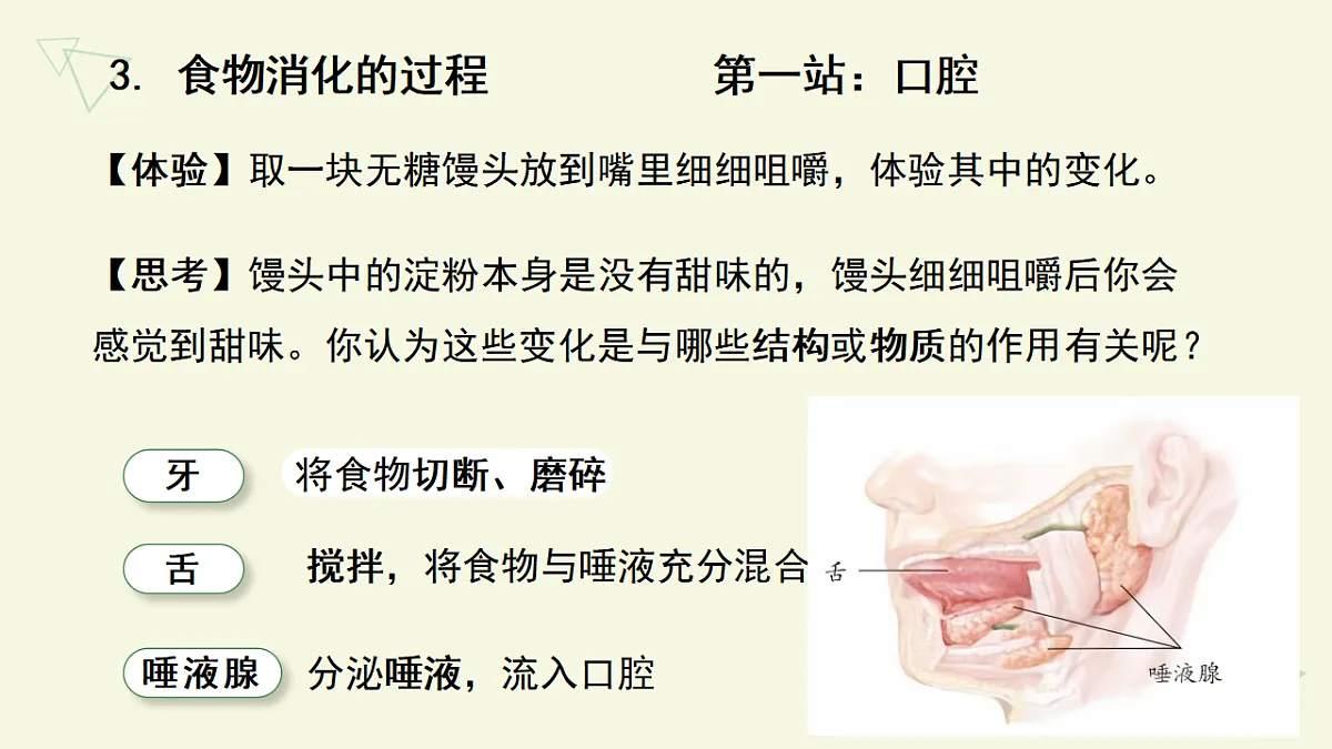 17877092第8页