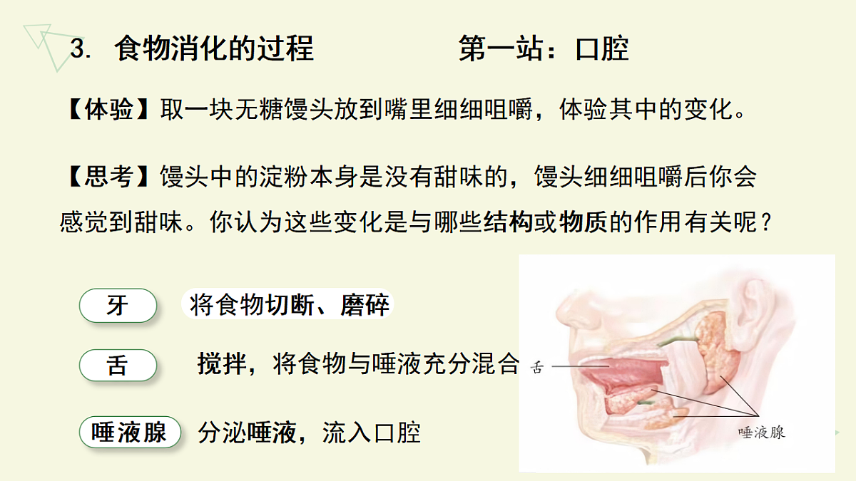 17877092第8页