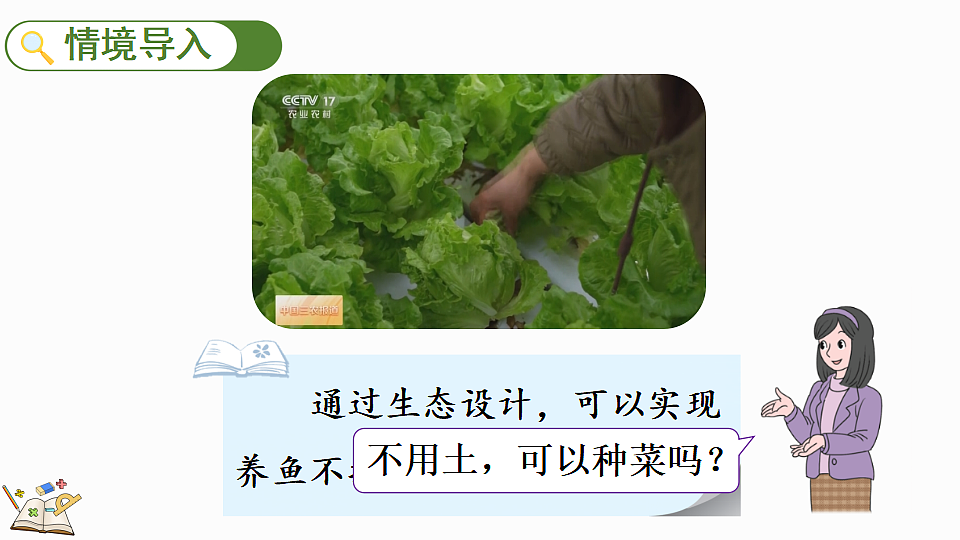 6.1鱼菜共生第2页