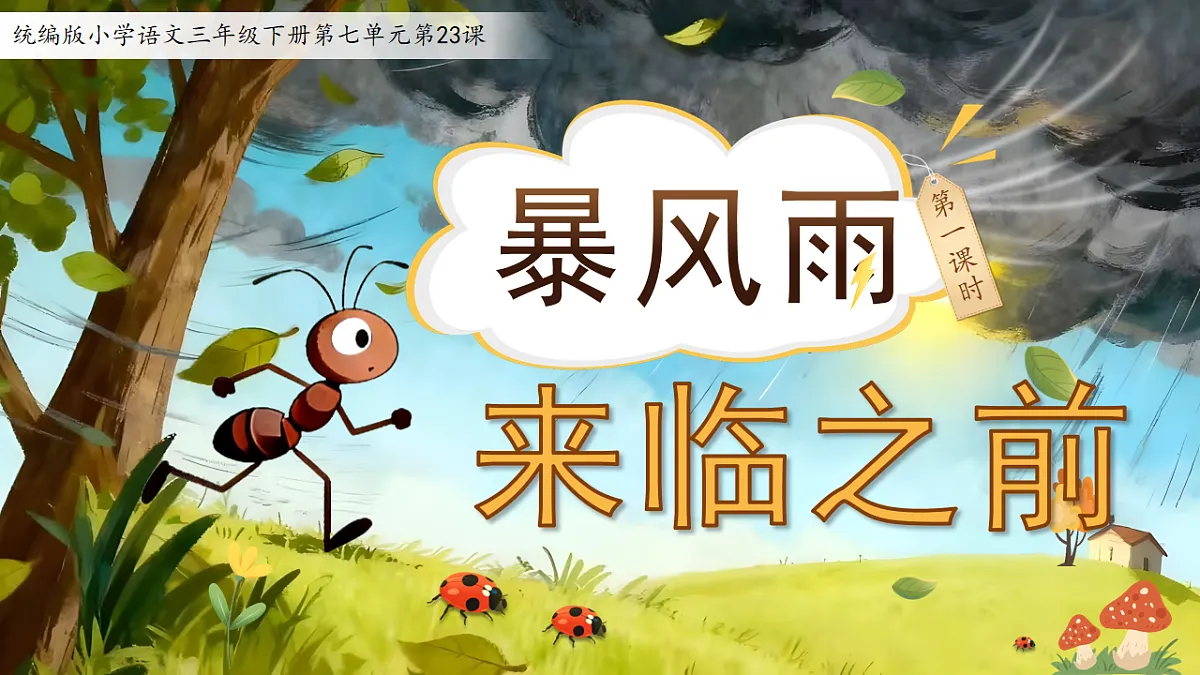 17877987第4页