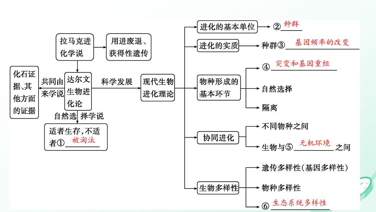 17878088第3页