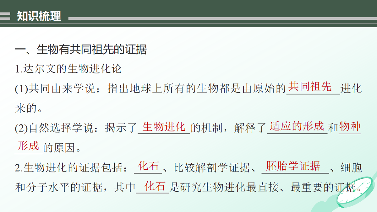 17878088第5页