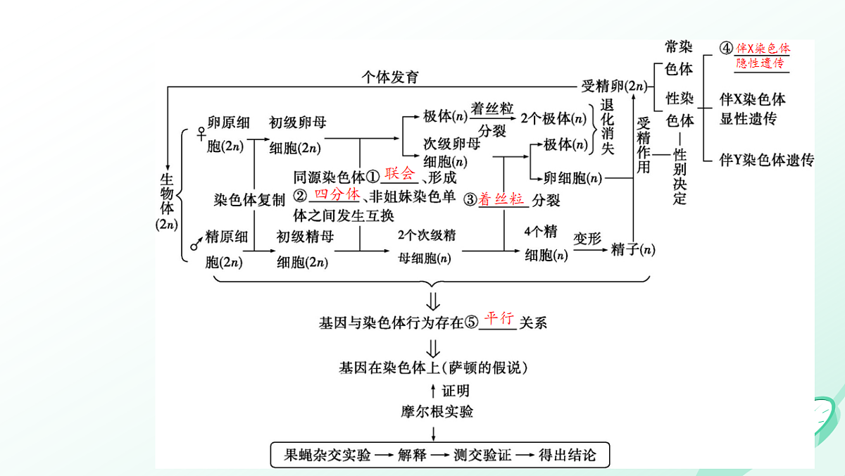 17878089第3页