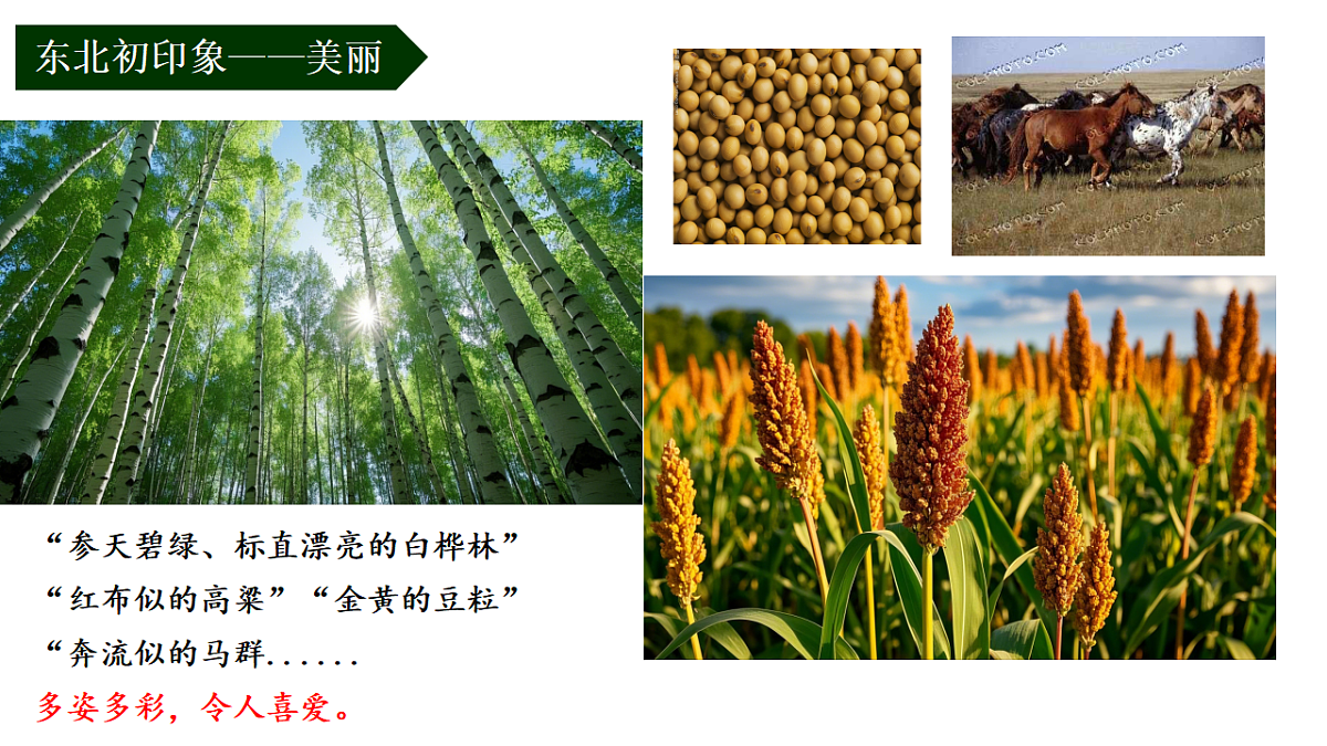 17878584第3页