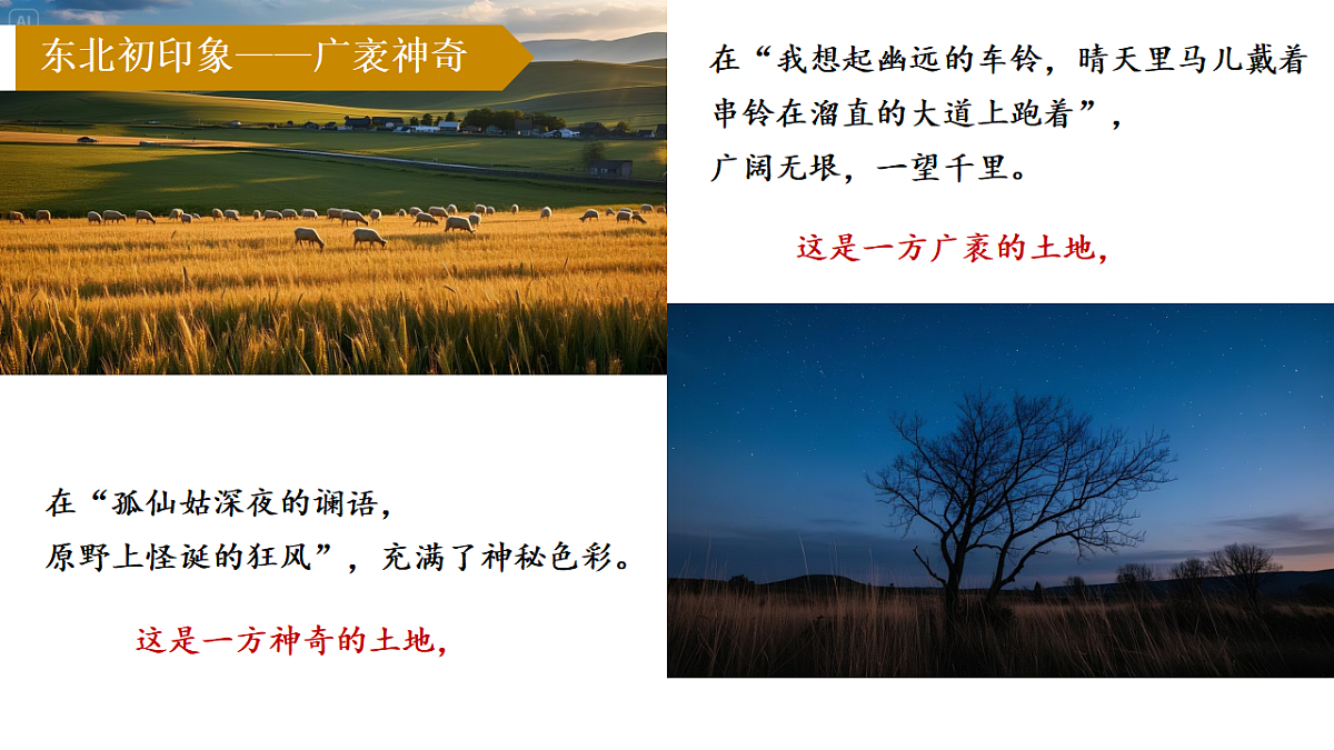 17878584第5页