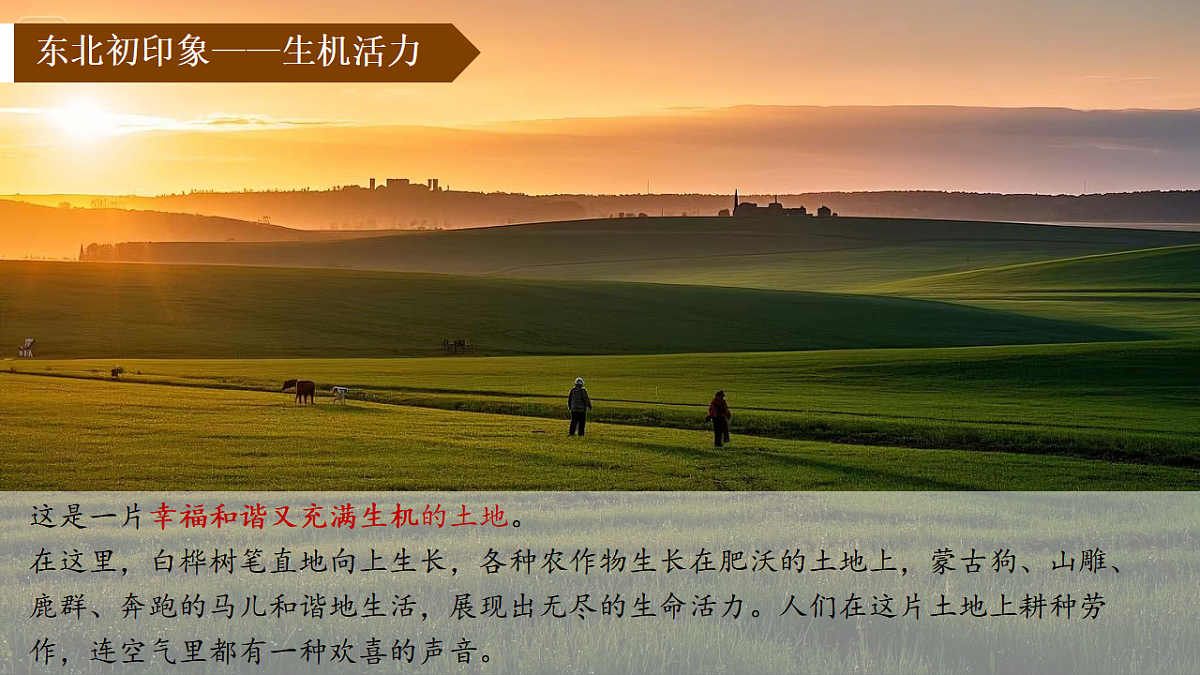 17878584第6页