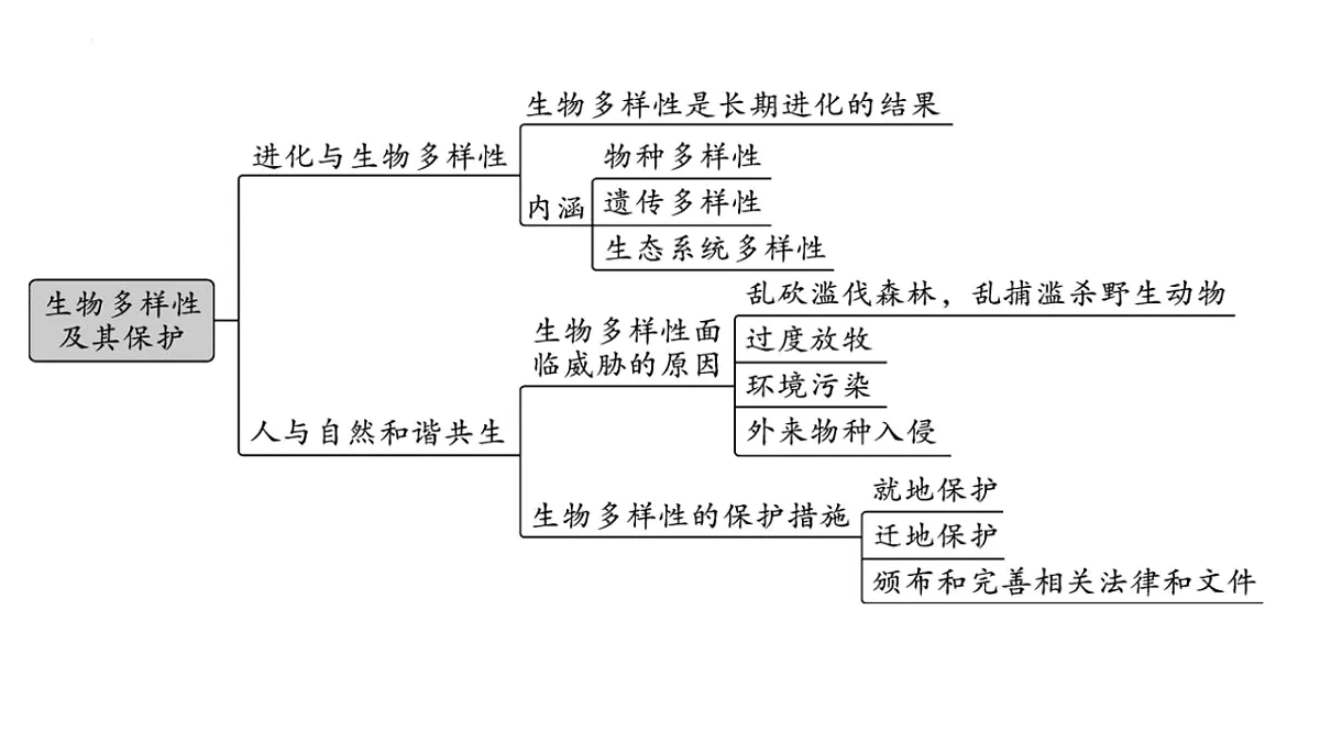 17878586第2页
