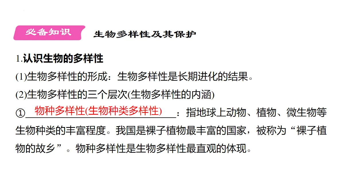 17878586第3页
