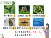制作动物体重“说明书”-动物有多重 第1课时（课件）-2025-2026学年三年级下册数学北师大版（2024）
