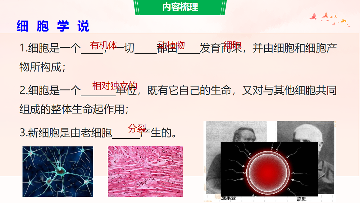 17879085第4页