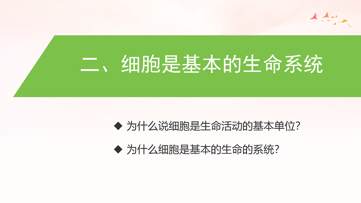 17879085第8页