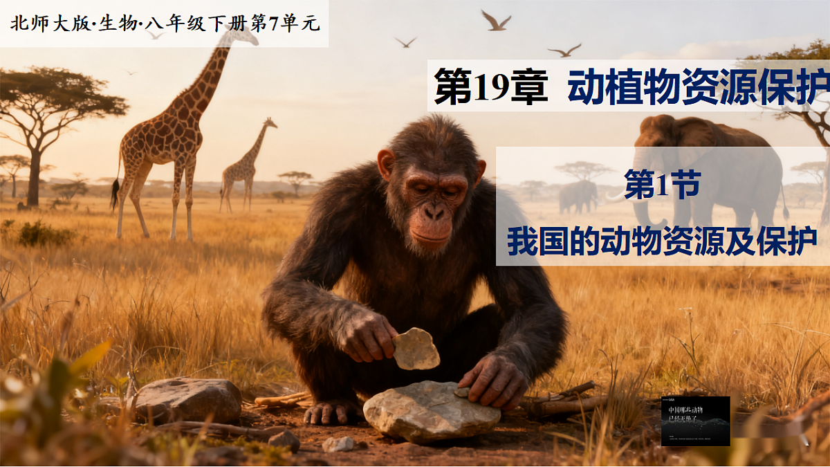 八下（北师大版2024）19.1我国的动物资源及保护 教案第1页
