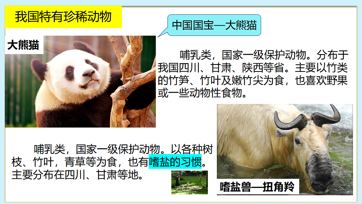 八下（北师大版2024）19.1我国的动物资源及保护 教案第7页