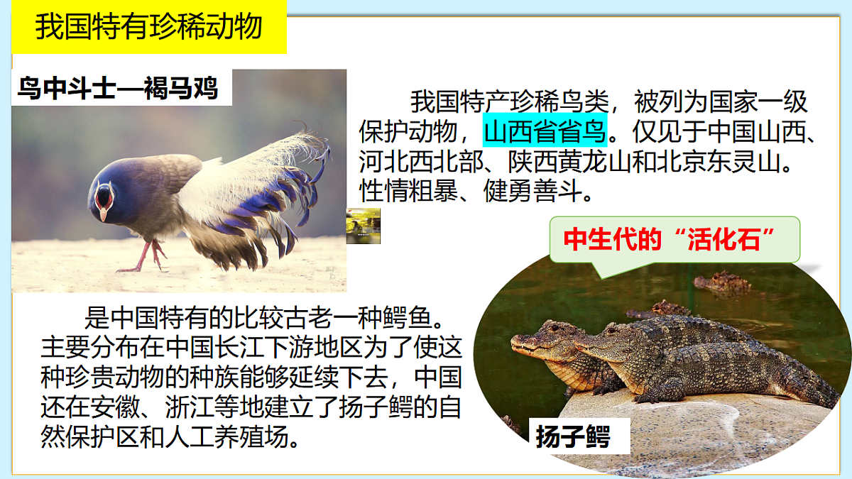 八下（北师大版2024）19.1我国的动物资源及保护 教案第8页