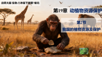初中生物北师大版(2024)八年级下册(2024)我国的植物资源及保护获奖课件ppt