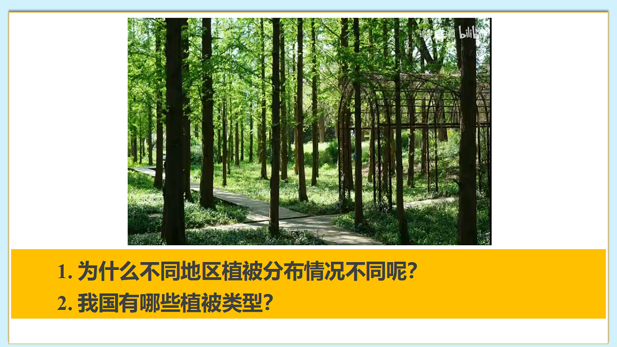 八下（北师大版2024）19.2我国的植物资源及保护  课件第4页