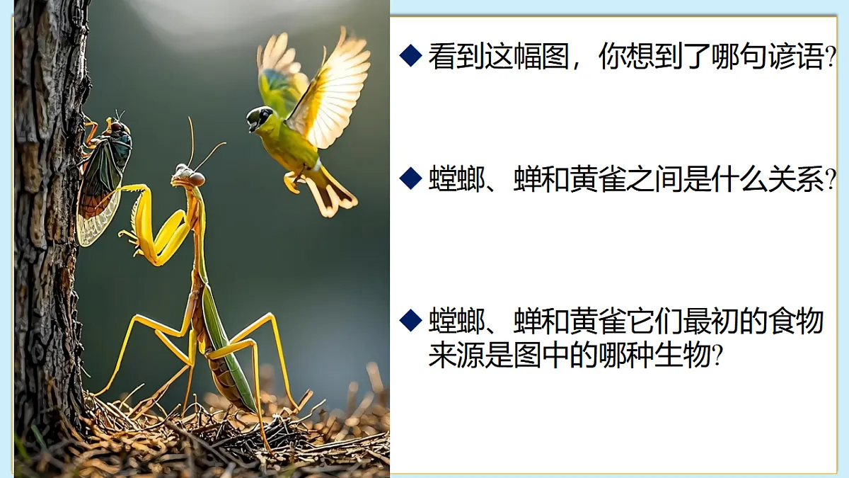 八下（北师大版2024）20.3生态系统的结构和功能 课件第4页