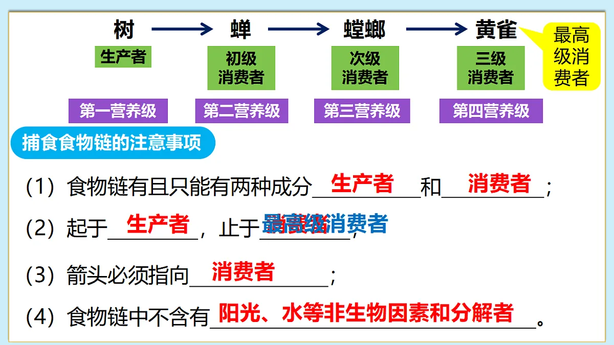 八下（北师大版2024）20.3生态系统的结构和功能 课件第7页