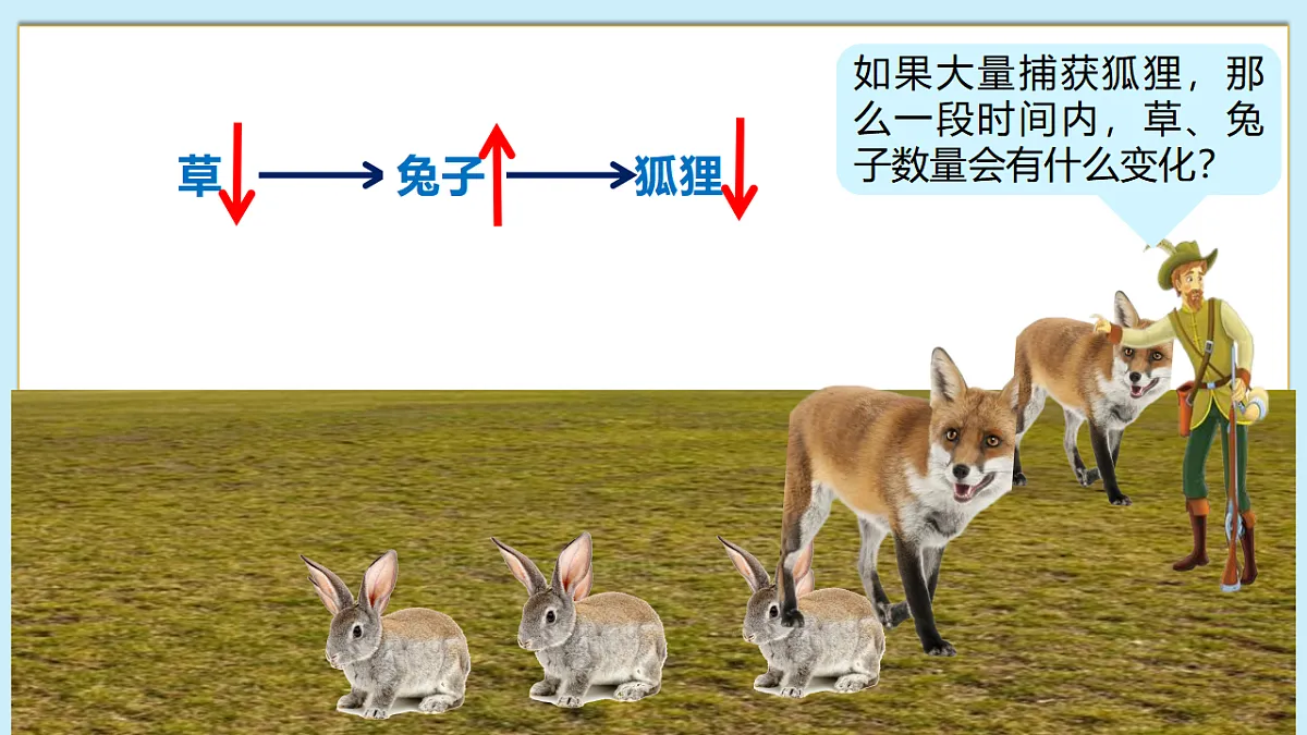 八下（北师大版2024）20.3生态系统的结构和功能 课件第8页
