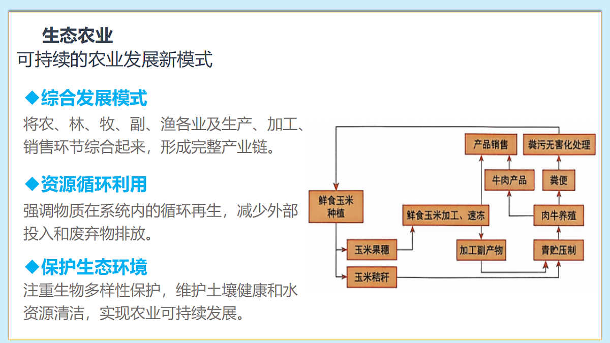 八下（北师大版2024）21.1人居环境与健康  课件第7页