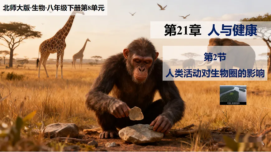 八下（北师大版2024）21.2人类活动对生物圈的影响 课件第1页