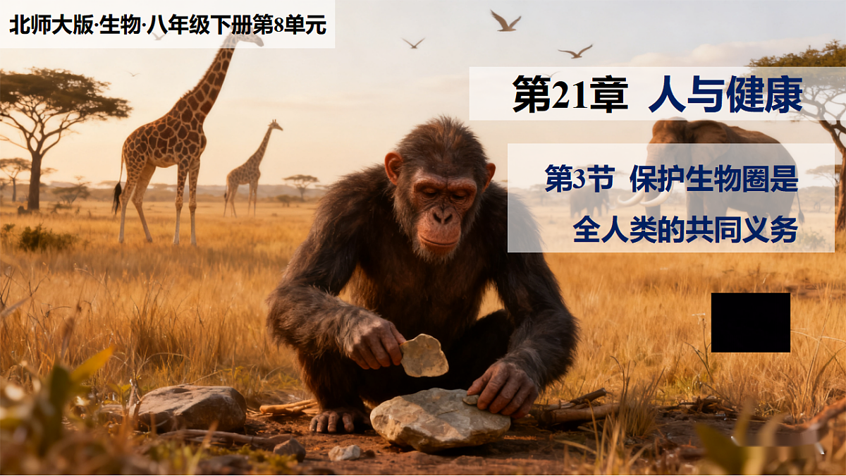 八下（北师大版2024）21.3保护生物圈是全人类的共同义务     课件第1页