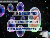 八下生物（人教版2024）6.2.1.2《基因与生物的性状的关系（2）》PPT+教案