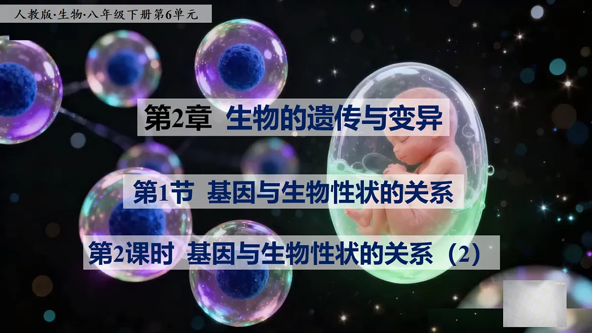 八下生物（人教版2024）6.2.1.2《基因与生物的性状的关系（2）》PPT第1页