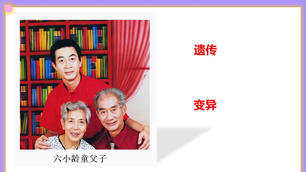 八下生物（人教版2024）6.2.1.2《基因与生物的性状的关系（2）》PPT第7页