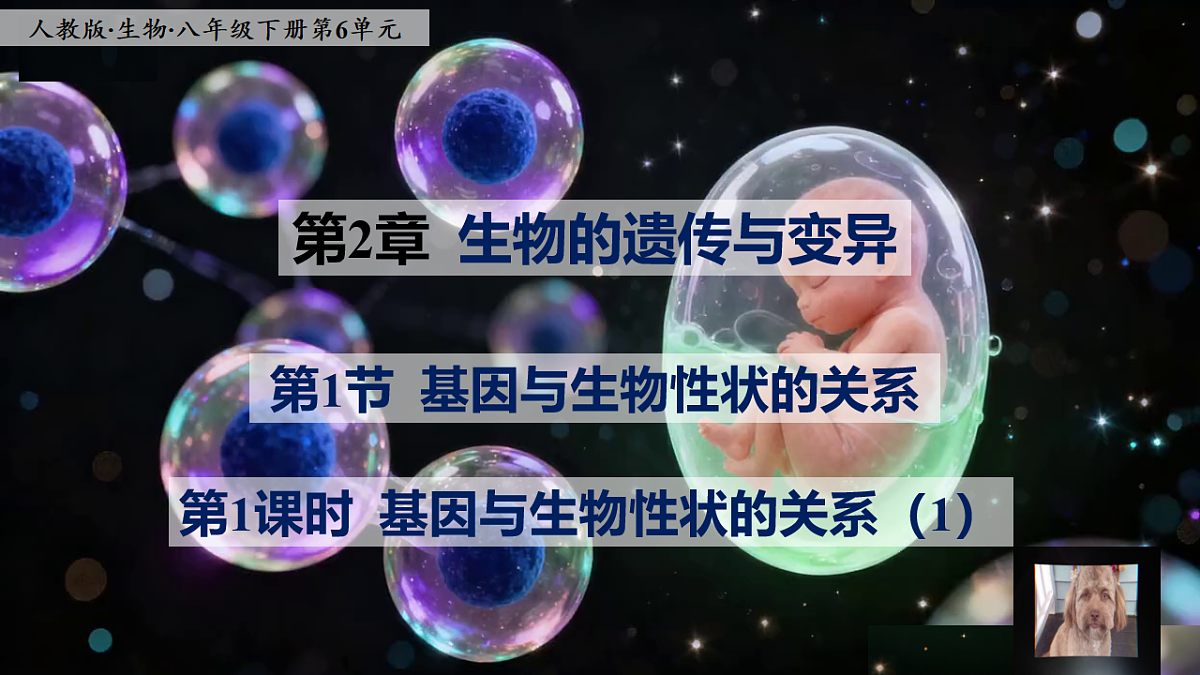 八下生物（人教版2024）6.2.1.1《基因与生物的性状的关系（1）》PPT第1页