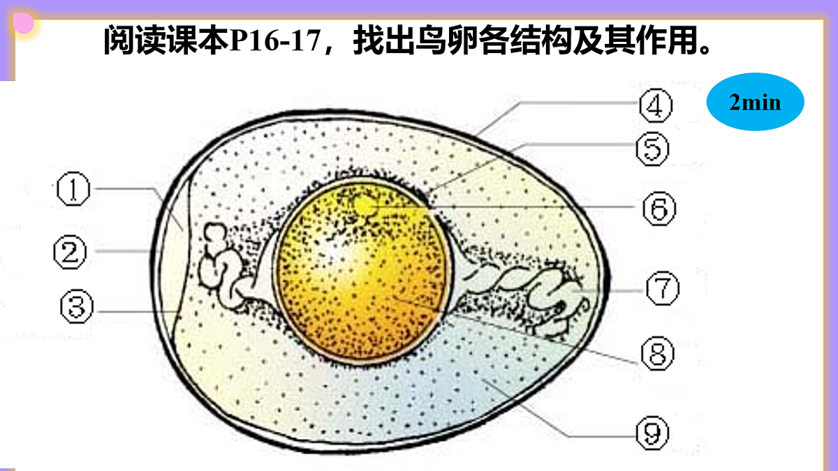 八下生物（人教版2024）6.1.2.3《动物的生殖（2）》PPT第8页