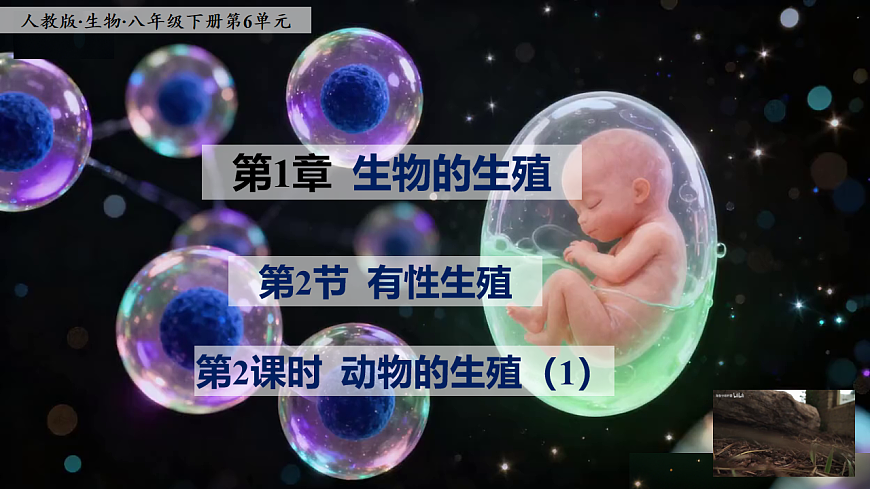 八下生物（人教版2024）6.1.2.2《动物的生殖（1）》PPT第1页