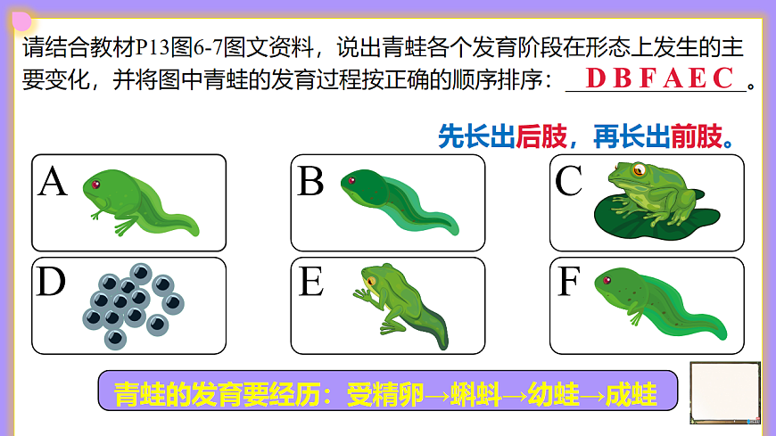 八下生物（人教版2024）6.1.2.2《动物的生殖（1）》PPT第8页