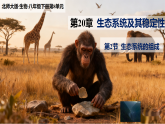 初中生物八下（北师大版2024）20.2生态系统的组成  课件+教案