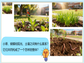 初中生物八下（北师大版2024）20.2生态系统的组成  课件+教案