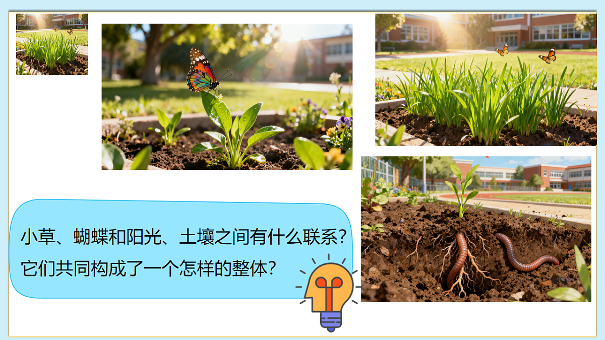 八下（北师大版2024）20.2生态系统的组成  课件第4页