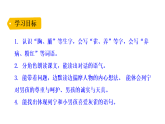 小学语文新部编版三年级下册第六单元20灰雀教学课件（2026春版）