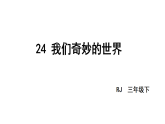 小学语文新部编版三年级下册第七单元24我们奇妙的世界教学课件（2026春版）
