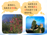 统编版语文四年级语文下册第五单元习作例文与习作第2课时课件