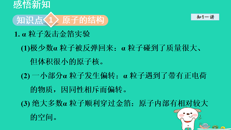 17884891第3页