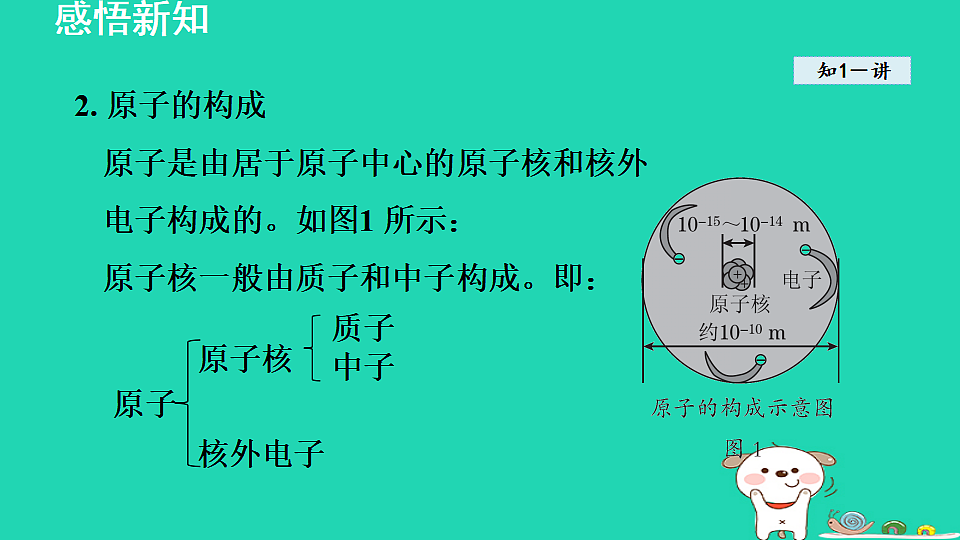17884891第4页