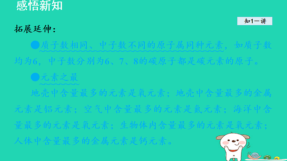17884892第5页