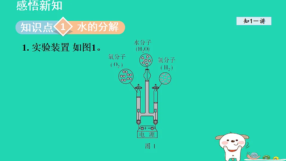 17884895第3页