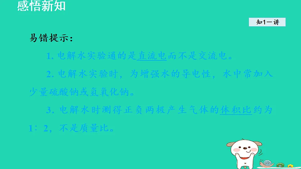 17884895第5页