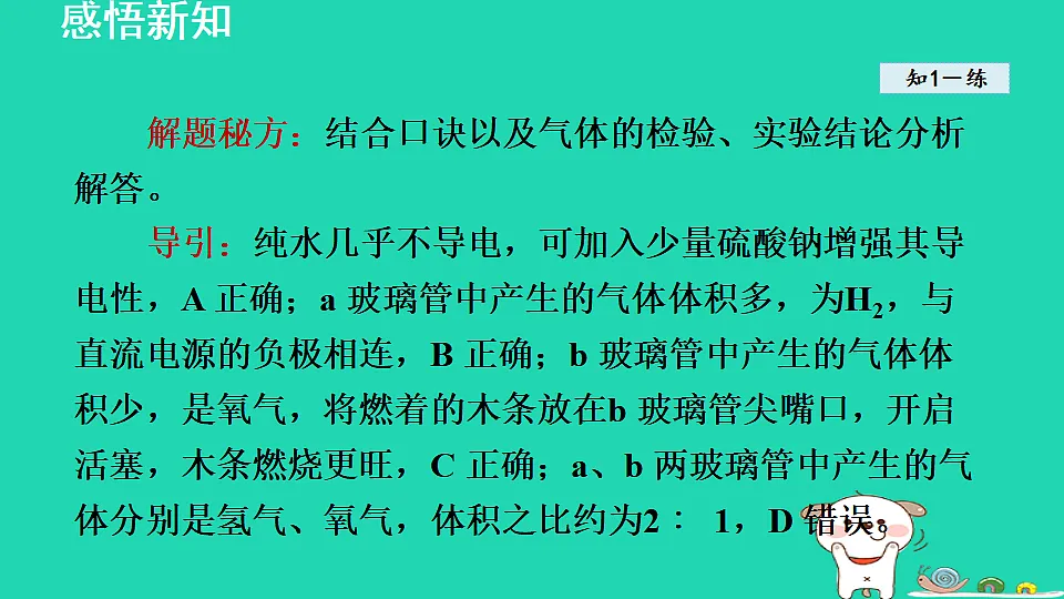 17884895第7页
