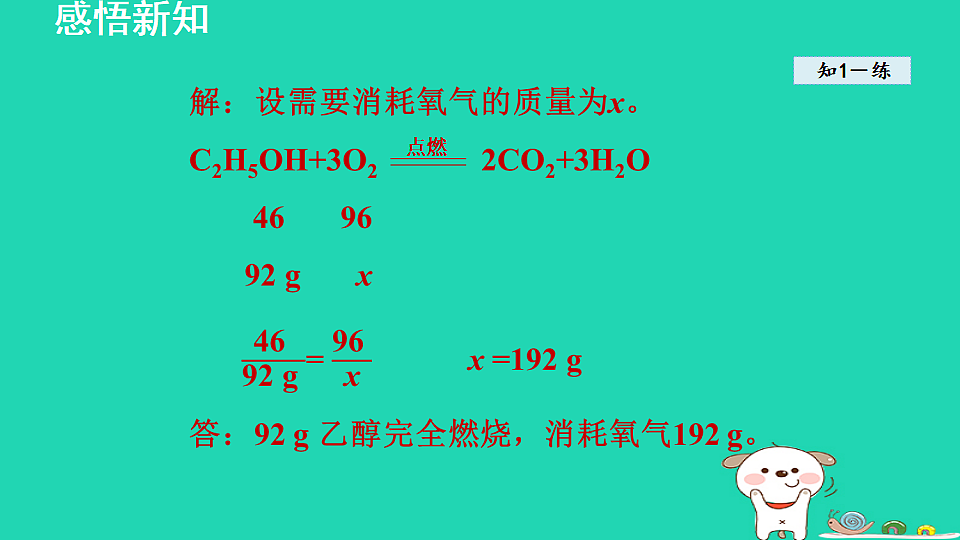 17884900第7页