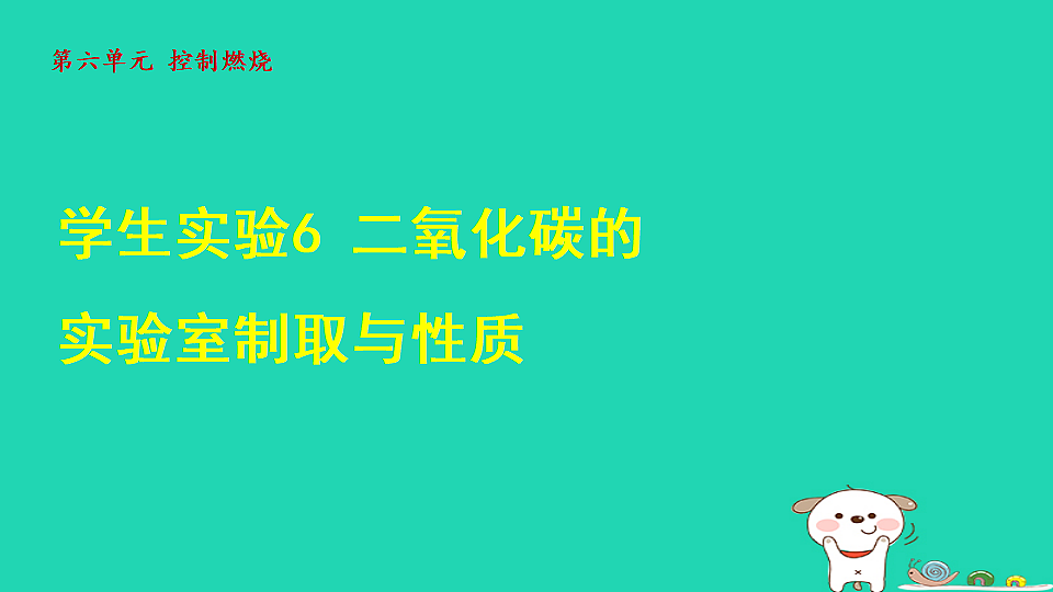 17884905第1页