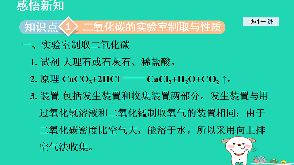 17884905第3页