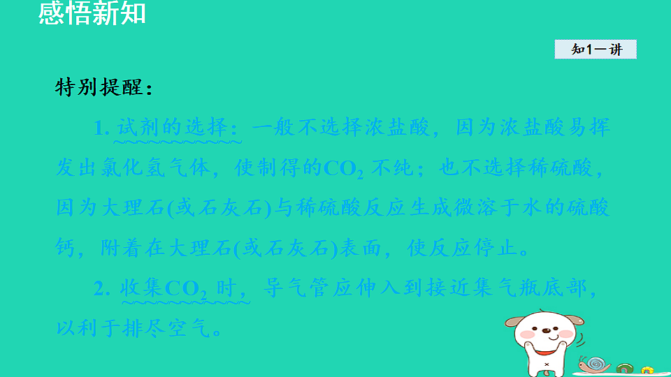 17884905第5页